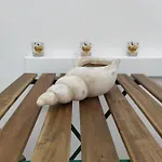 Spot