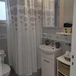 Spot