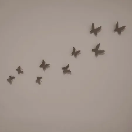 Spot *